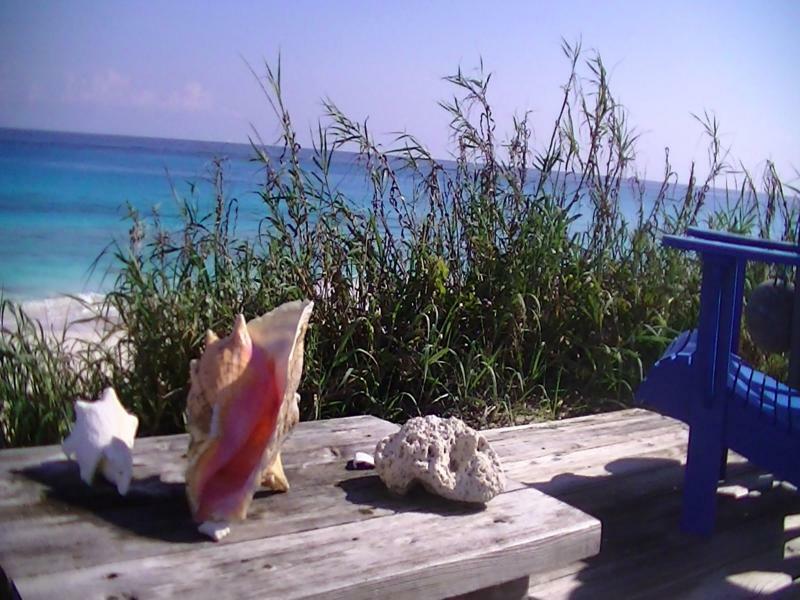 Oceanfrontier Hideaway Hotel Great Guana Cay Eksteriør billede